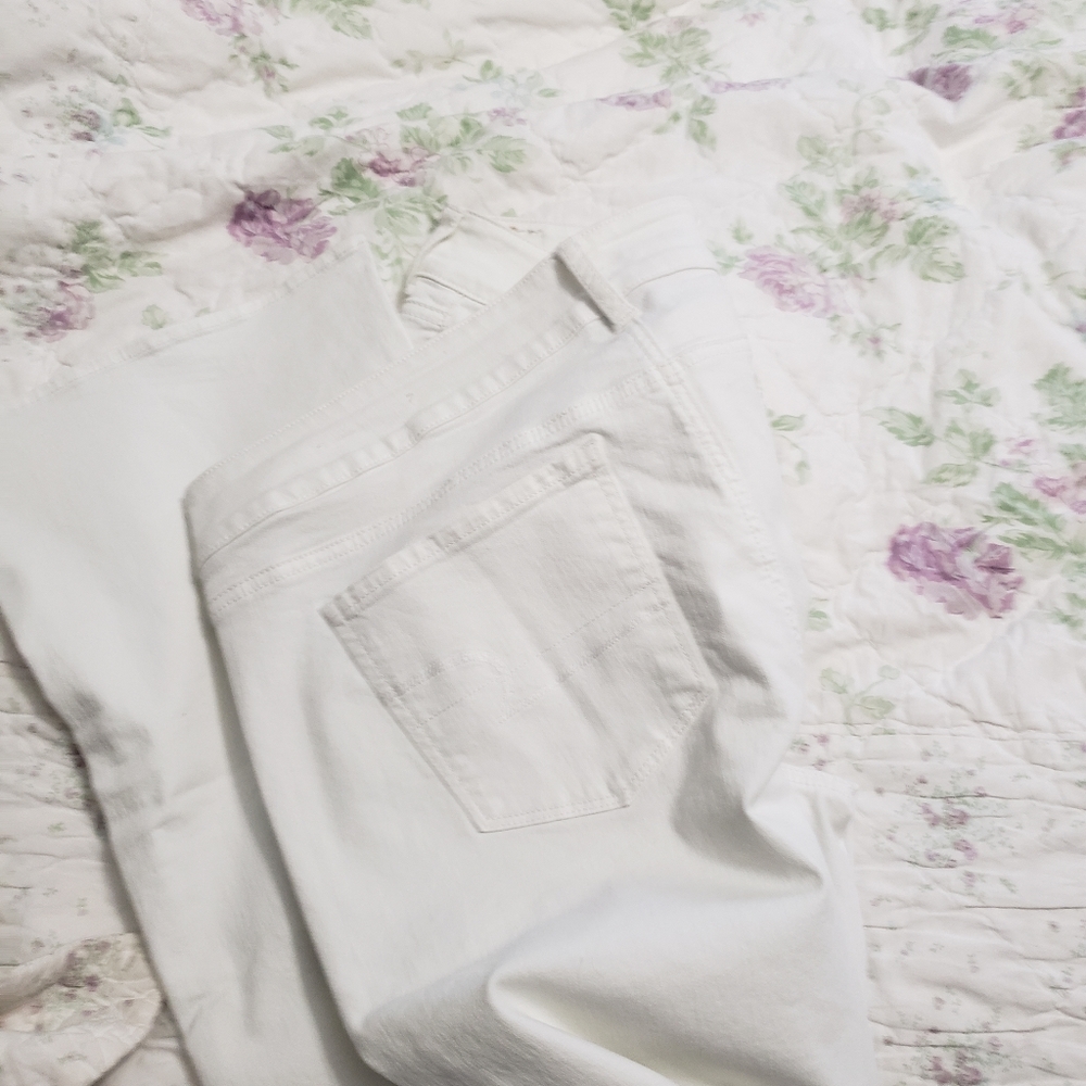 American eagle artist jeans, 20 long